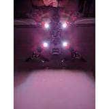 TINYSLEDS LED TinysLEDs Super Bright 3-6S Tiny LEDs - Choose Your Color