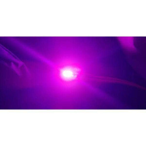 TINYSLEDS LED TinysLEDs Super Bright 3-6S Tiny LEDs - Choose Your Color